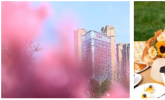 西安浐灞悦苑酒店为宾客开启自在随心假期 悠然悦享 初夏新绿