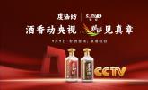 虔酒坊登陆CCTV-2，《对话》解锁财富，举杯畅享酱香