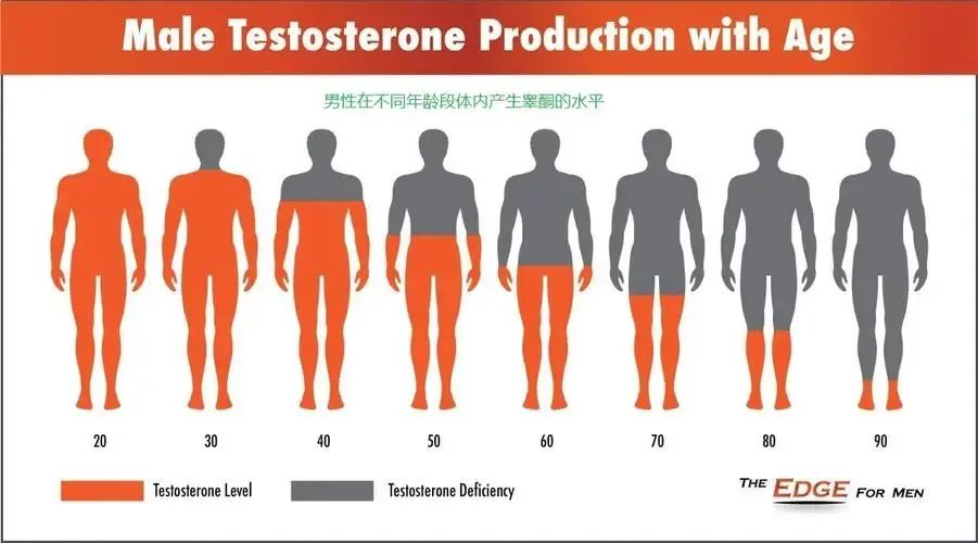 睾酮低老得快，LAIFE乐维源有效提升男性睾酮