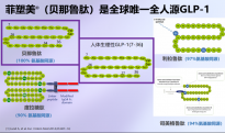 采用中国BMI标准，贝那鲁肽更贴合我国超重/肥胖患者治疗需求